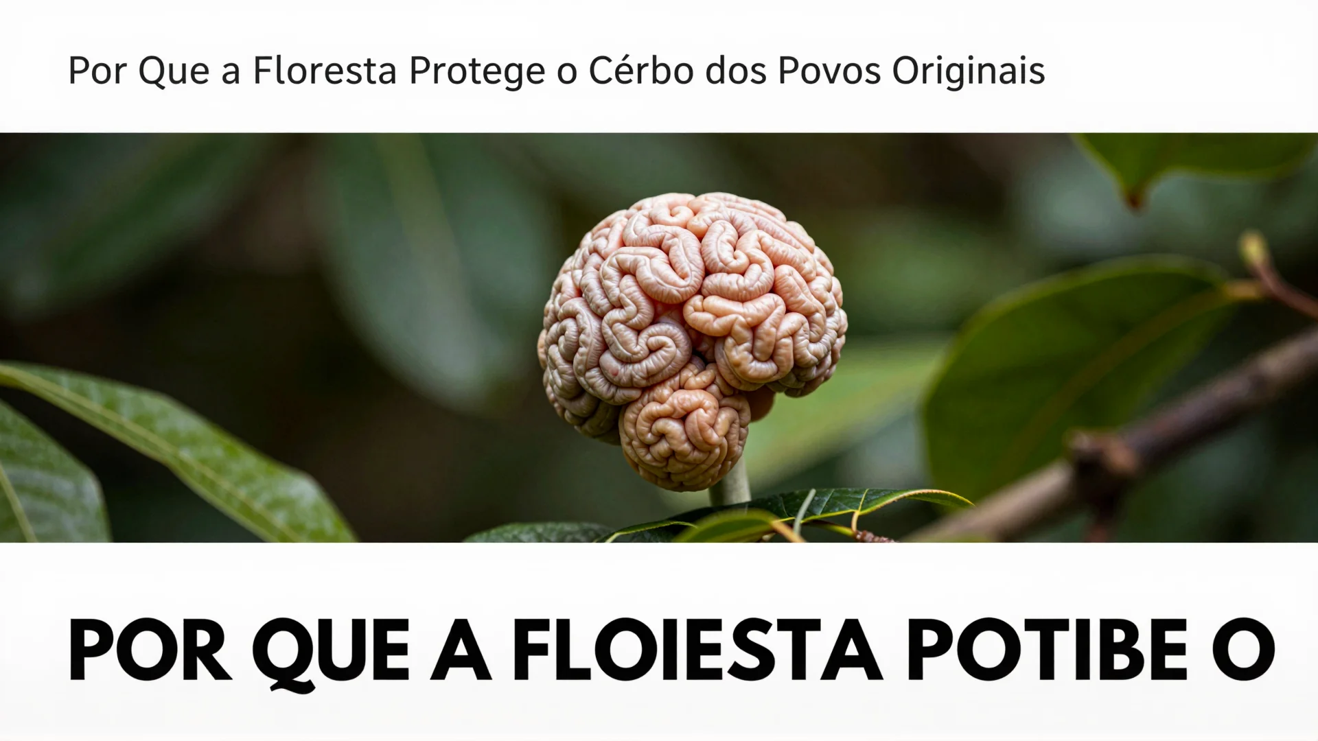 Por Que a Floresta Protege o Cérebro dos Povos Originais