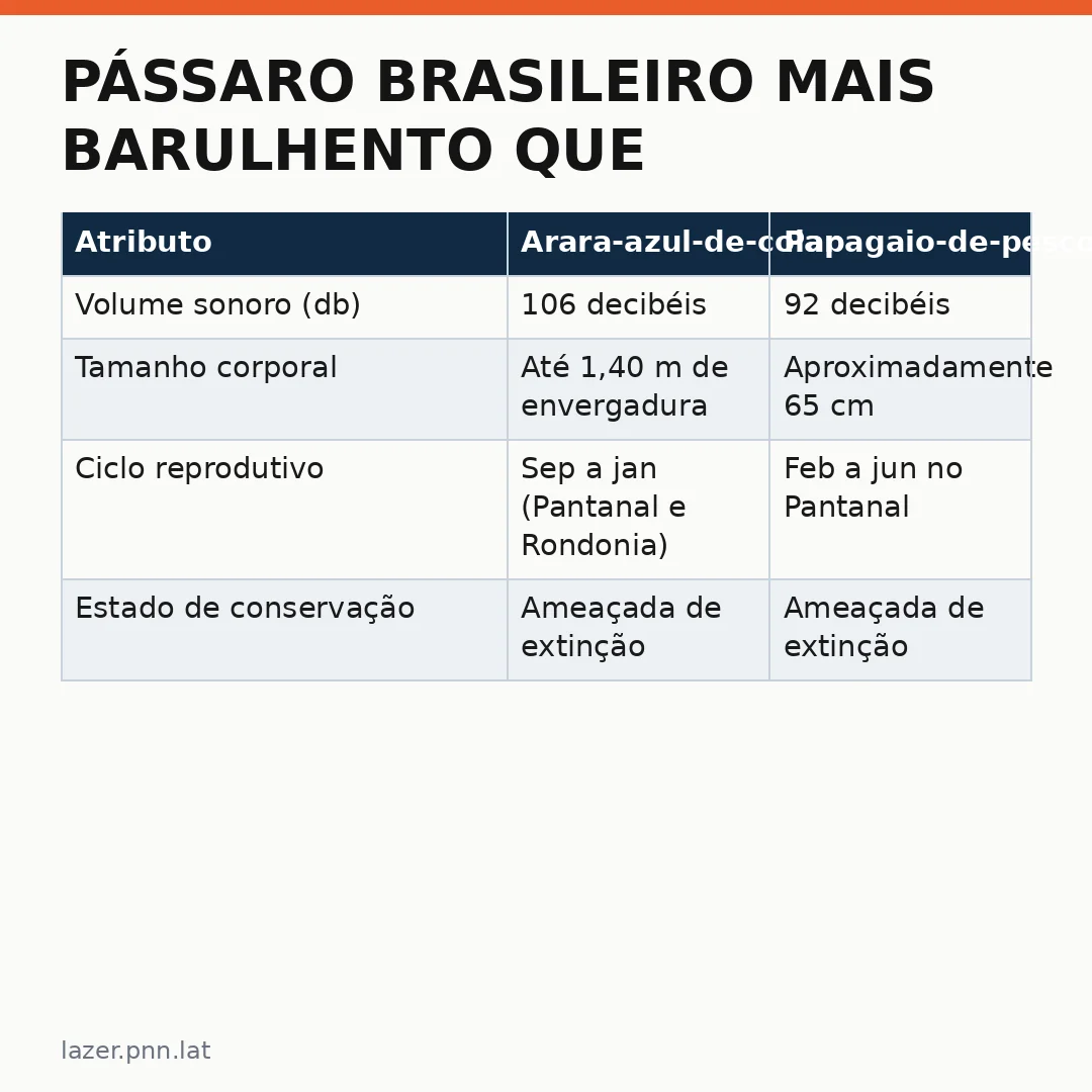 Infográfico - Pássaro brasileiro mais barulhento que britadeira: guie sua visita no Pantanal e ouça o maior canto do mundo